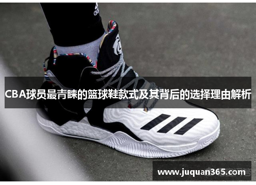 CBA球员最青睐的篮球鞋款式及其背后的选择理由解析